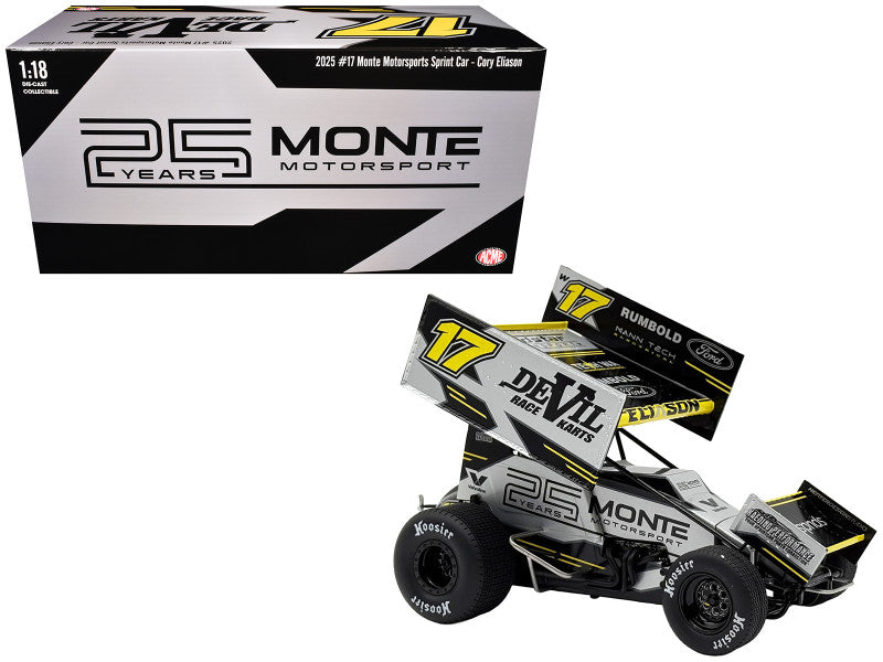 Monte Motorsport #17 Race Car with box